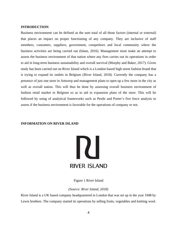 Business Organisations and Environments- River Island_4