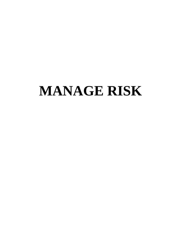 Manage Risk in Holden Ltd._1