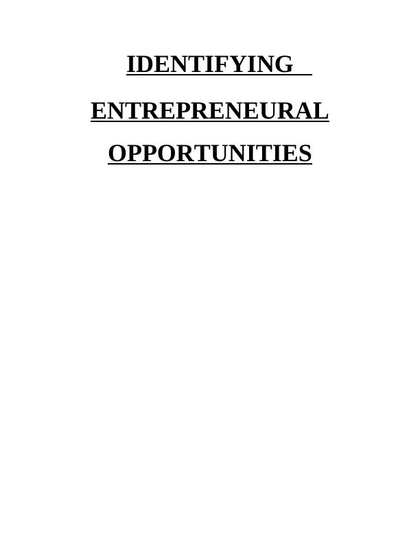 Identifying Entrepreneurial Opportunities Assignment - Novelty toys_1