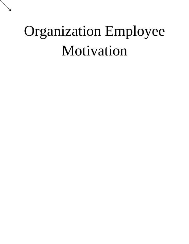 Organization Employee Motivation_1