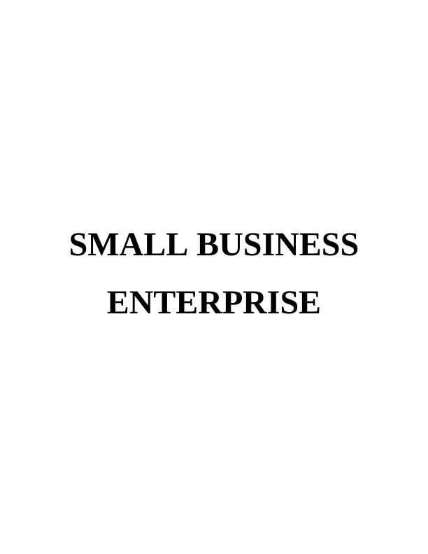 Improvement of Small Business Enterprises: TASK-13_1