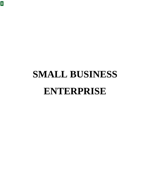 Report On Strengths & Weaknesses Of Small Scale Enterprises_1