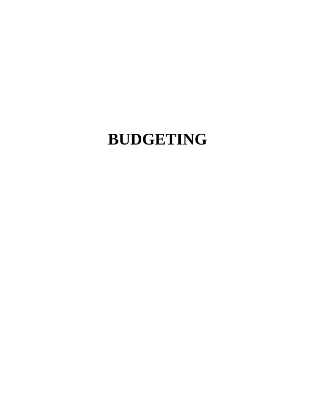 Importance of Budgeting in Organizations_1