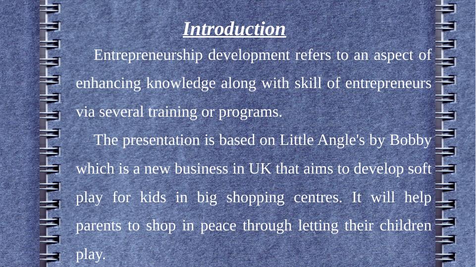 Entrepreneurship Development: Little Angels Soft Play_3