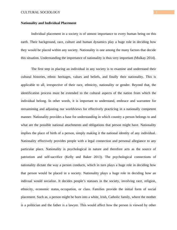 Cultural Sociology Report Individual Placement_2