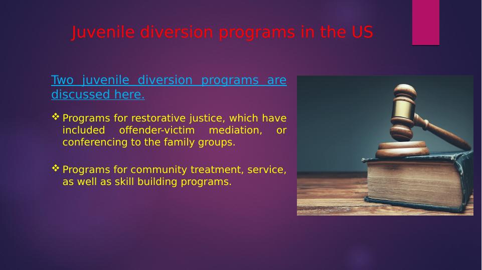 Crime Causation and Diversion_3