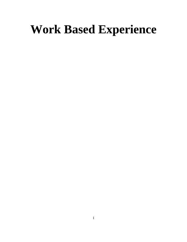Work Based Experience_1