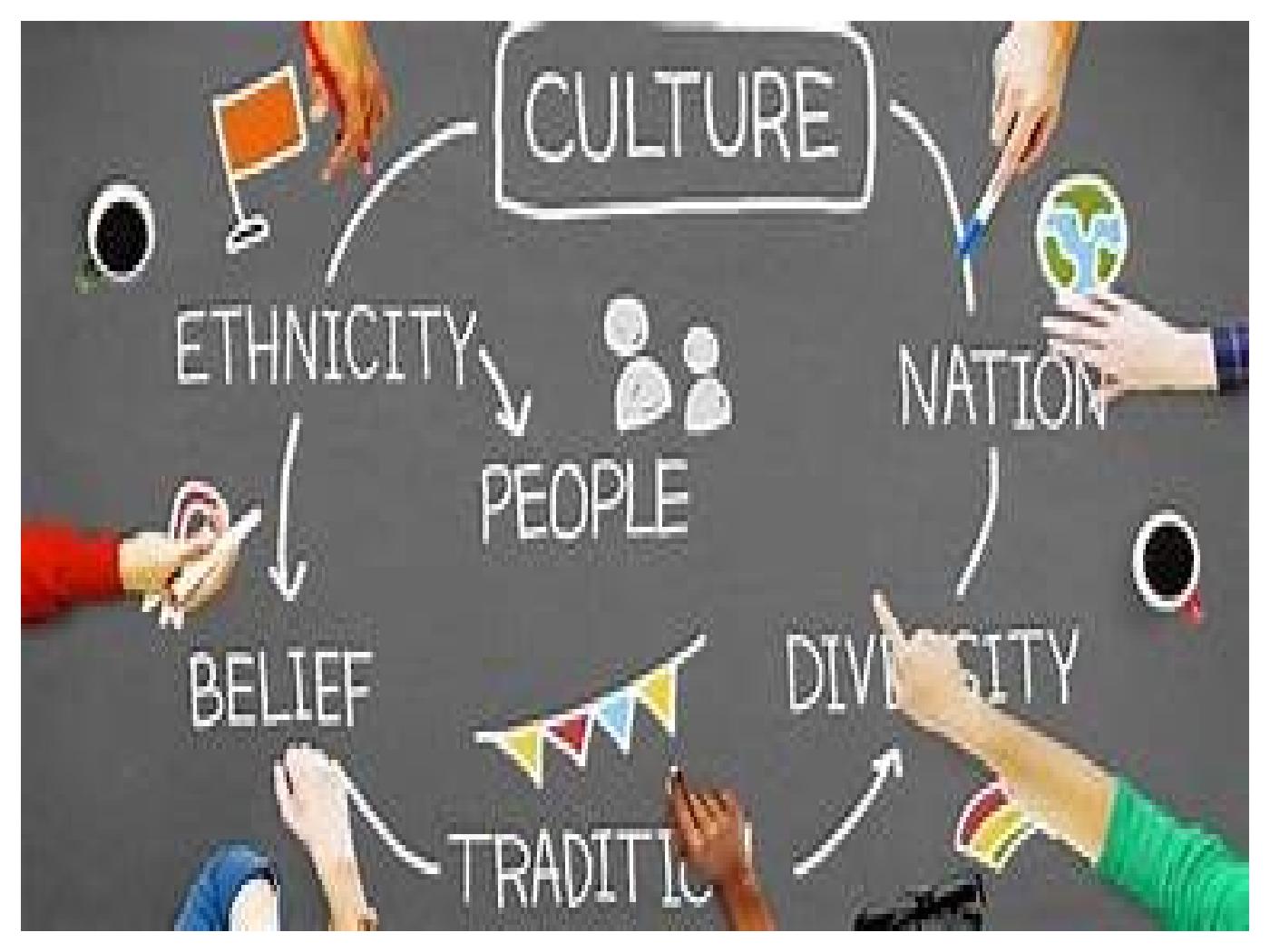 Developing Cross Cultural Capability - Desklib