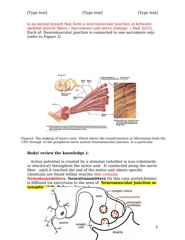 Effect of Stimulus Intensity on Skeletal Muscles_2