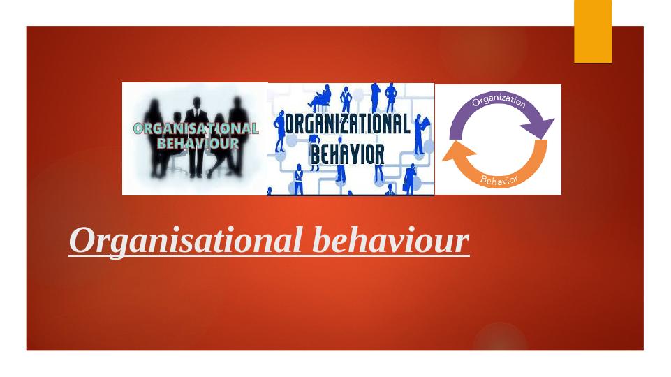 Organizational Behavior: Case Study Analysis_1