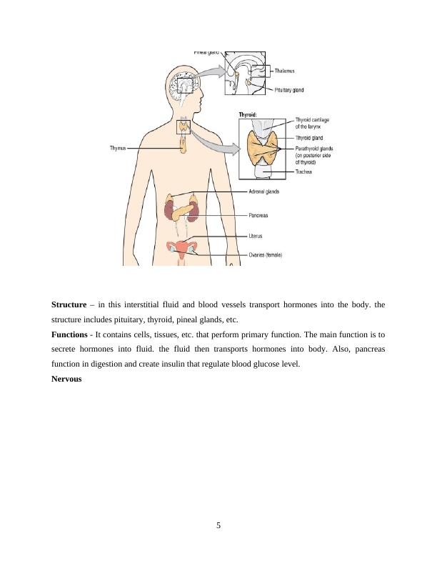 Understanding Human Anatomy and Physiology: Functions, Features, and Organ Systems_5