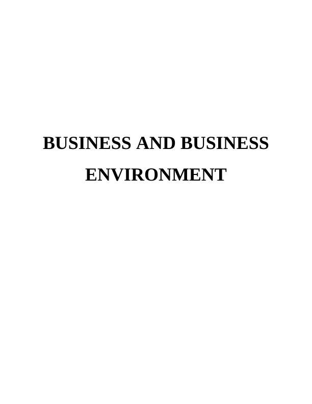 Business and Business Environment Report Sample_1