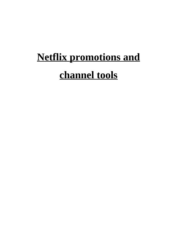Netflix Promotions and Channel Tools_1