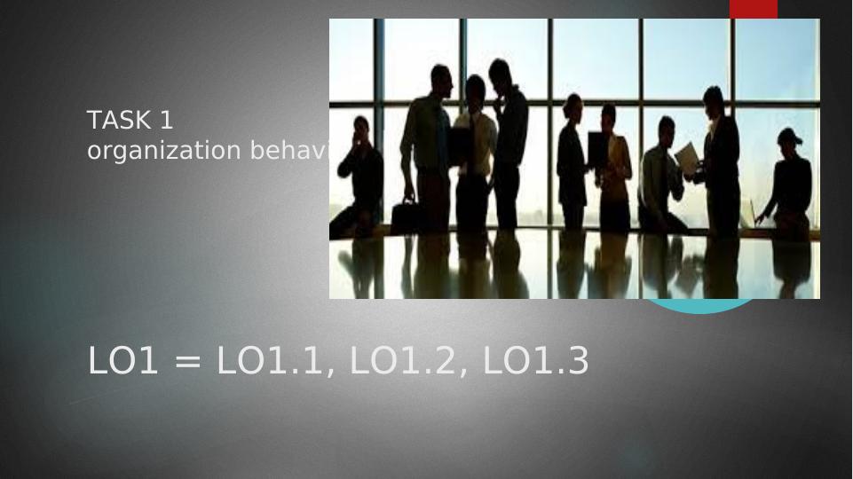 Organization Behavior: Types of Organizational Cultures, Structures, and Factors Influencing Individual Behavior_1