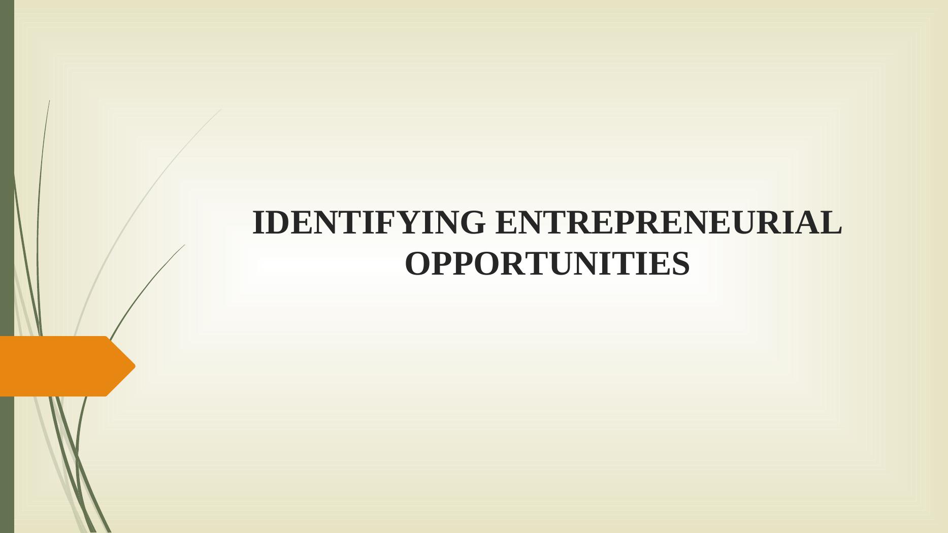 Identifying Entrepreneurial Opportunities - Desklib