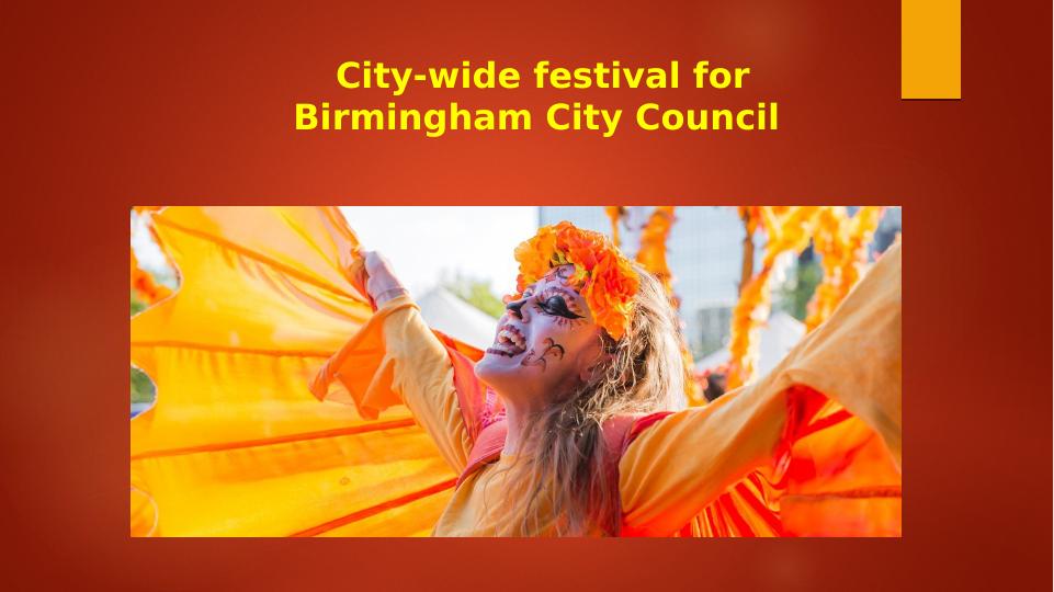 City Wide Festival For Birmingham City Council Overview Development And Planning Of City Wide 0661