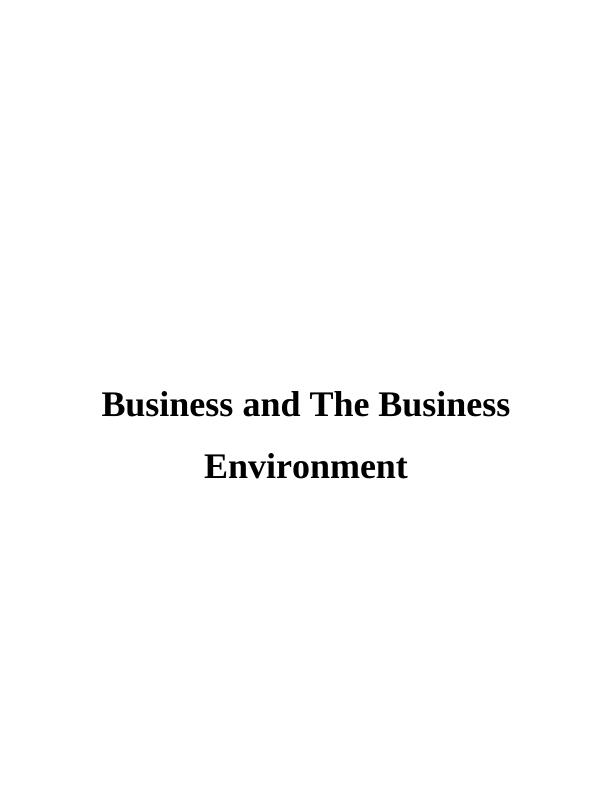 Understanding the Business Environment | Report_1