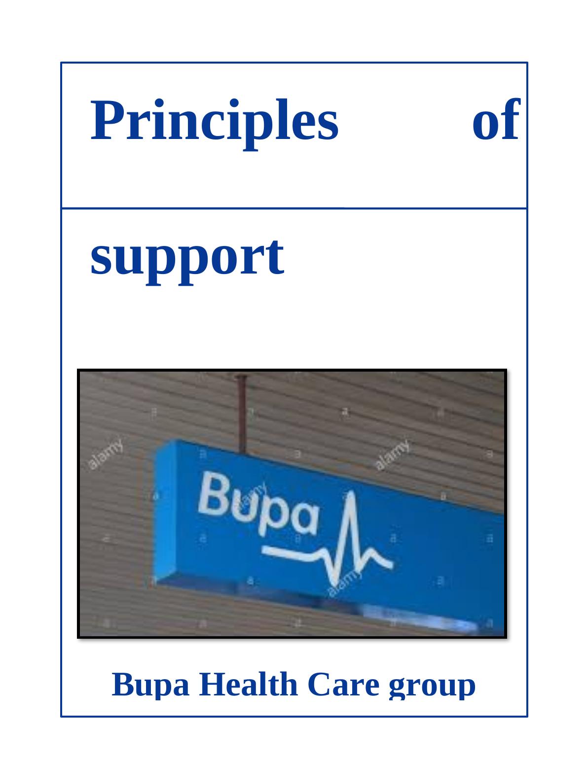 Principles of Support: Bupa Health Care Group_1