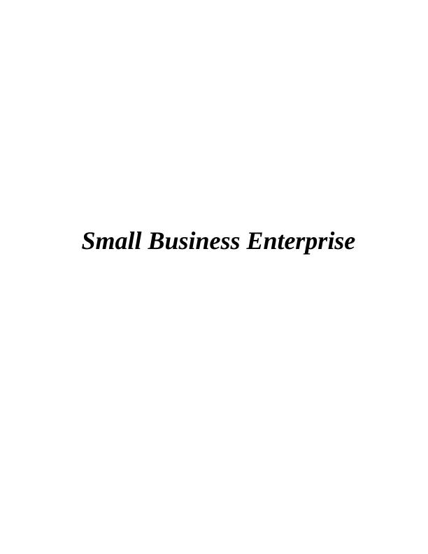Small Business Enterprise INTRODUCTION_1