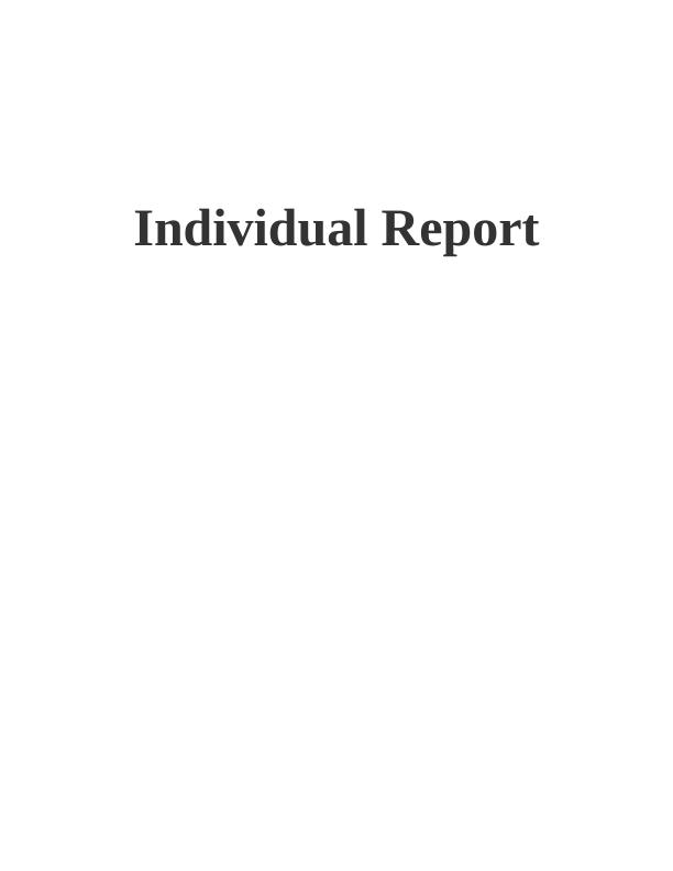 individual raport_1