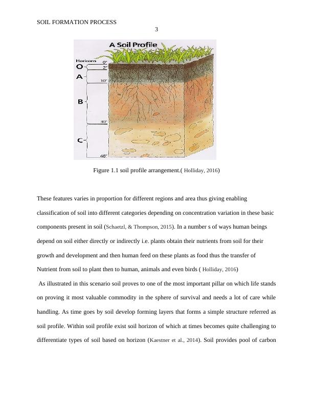 Soil  Formation  Process Assignment  2022_3