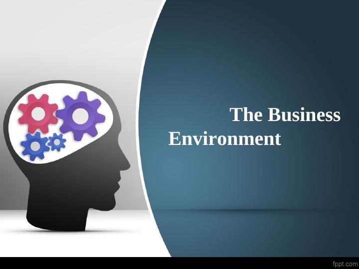 The Business Environment._1