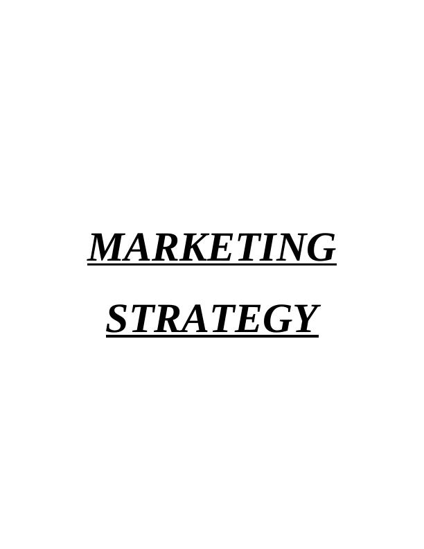 MARKETING STRATAGE INTRODUCTION Part 11 About Company and Past Performance_1