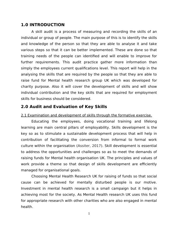 Employment Skills Audit Report_3