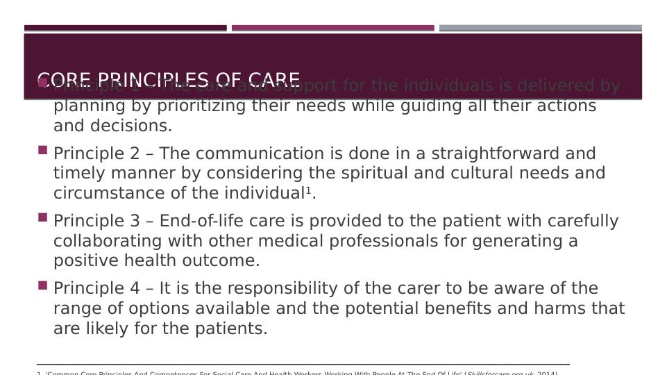 Core Principles And Theories Of Care Presentation