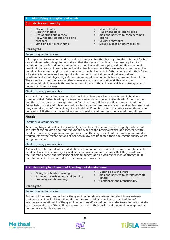 Meitheal Strengths and Needs Record_3