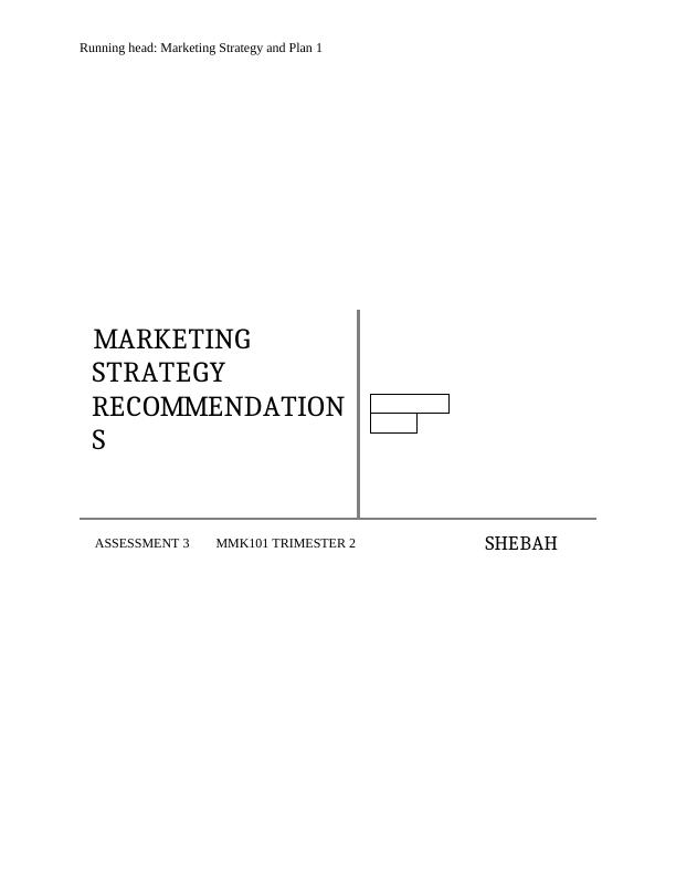 Report on Marketing Strategy and Plan of Organization_1