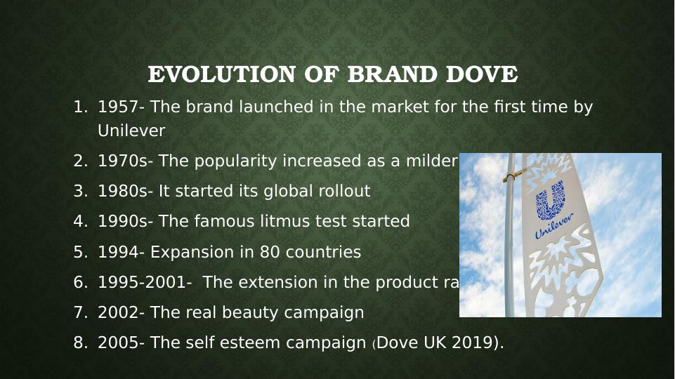 Brand Extension of Dove: Product Diversification Strategy_4