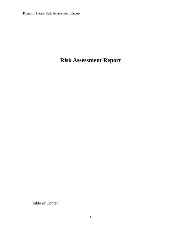 Risk Assessment Report- Docs_1