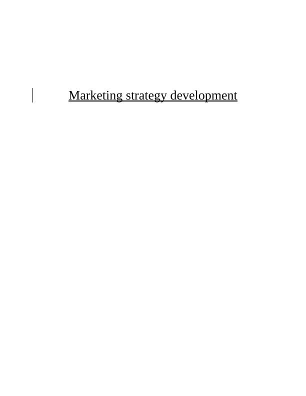 Marketing Strategy Development INTRODUCTION_1