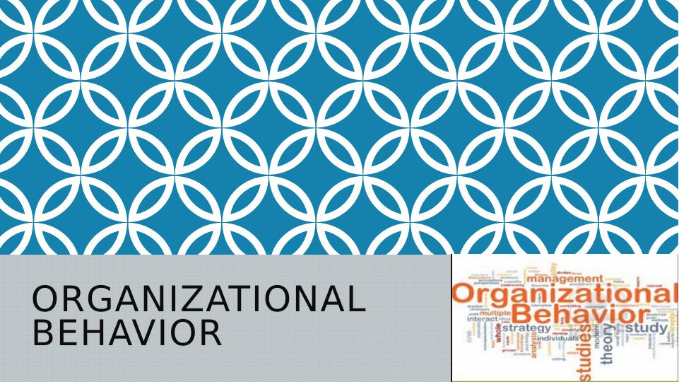 Organizational Behavior: Understanding Effective Cooperation in Teams_1