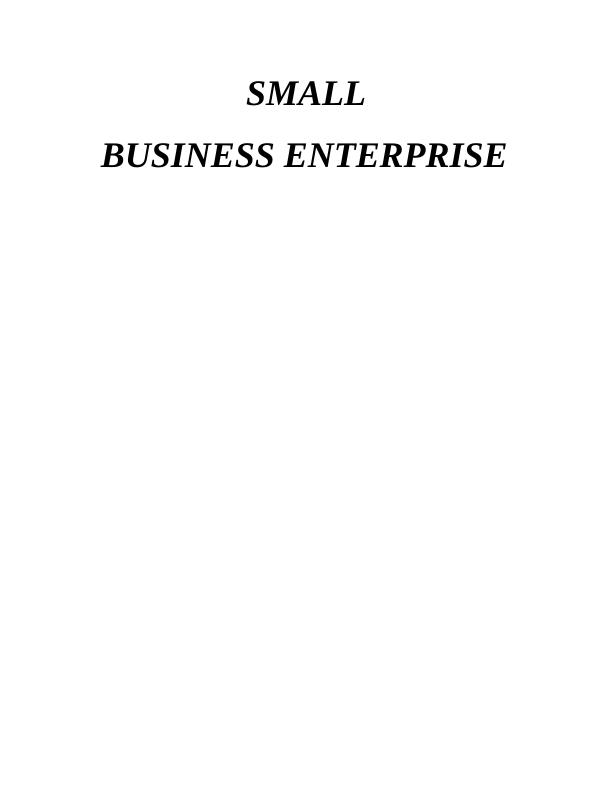 Small Business Enterprise - Zizzi_1