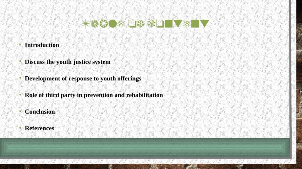 Reflective Professional Practice in Youth Justice System_2