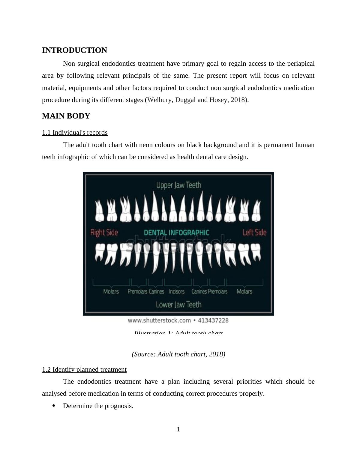 Provide Support During The Non Surgical Endodontics Treatment