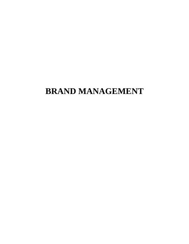 Brand Equity Management Report_1
