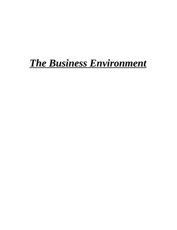 The Business Environment of M&S Essay_1