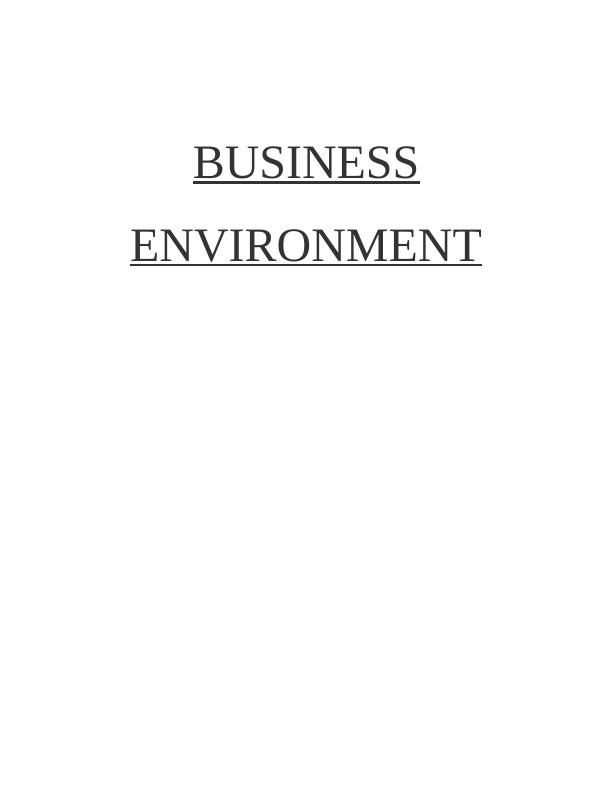 Key Issues Affecting Ryanair UK: Business Environment Analysis_1