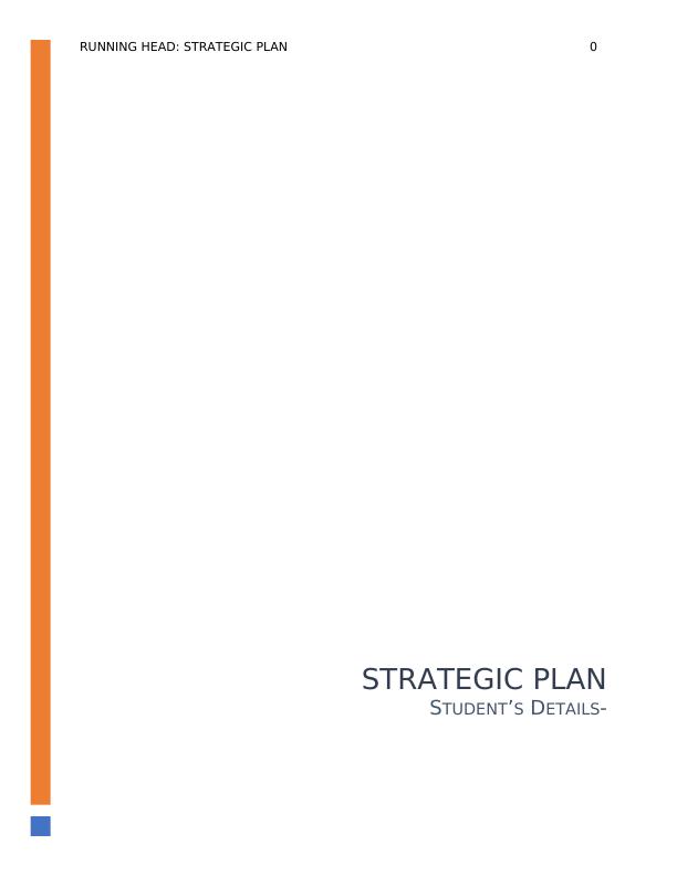 Functional Level Strategies Plan_1