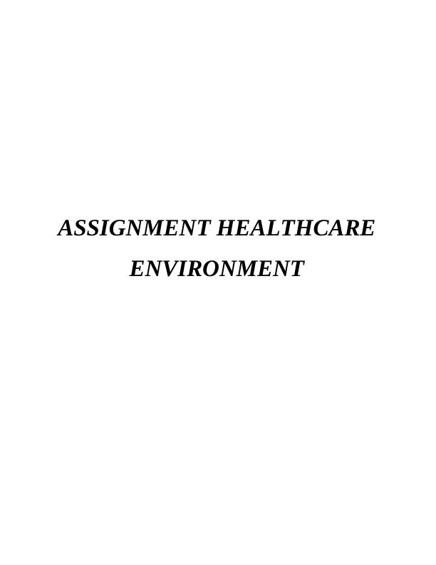 Assignment Healthcare Environment_1