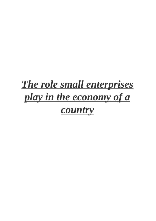 Small and Medium Enterprise Assignment (SME)_1