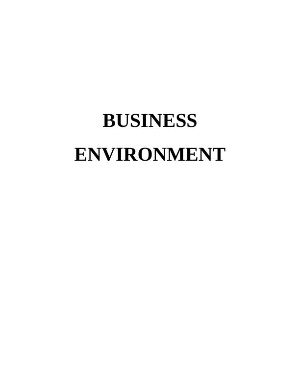 Business Environment Report- Primark_1