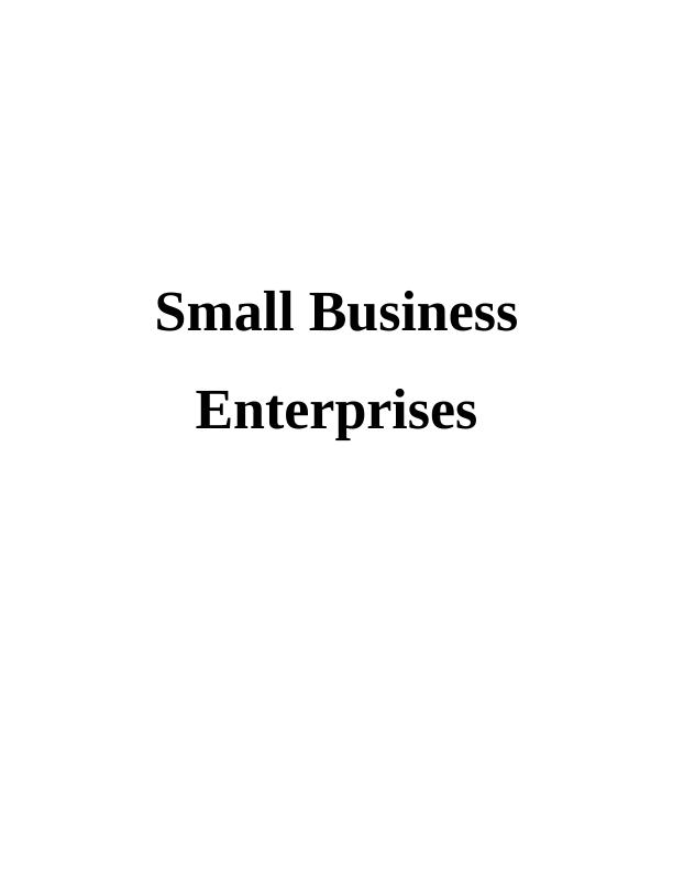 Small Business Enterprise Report on Austin Fraser_1