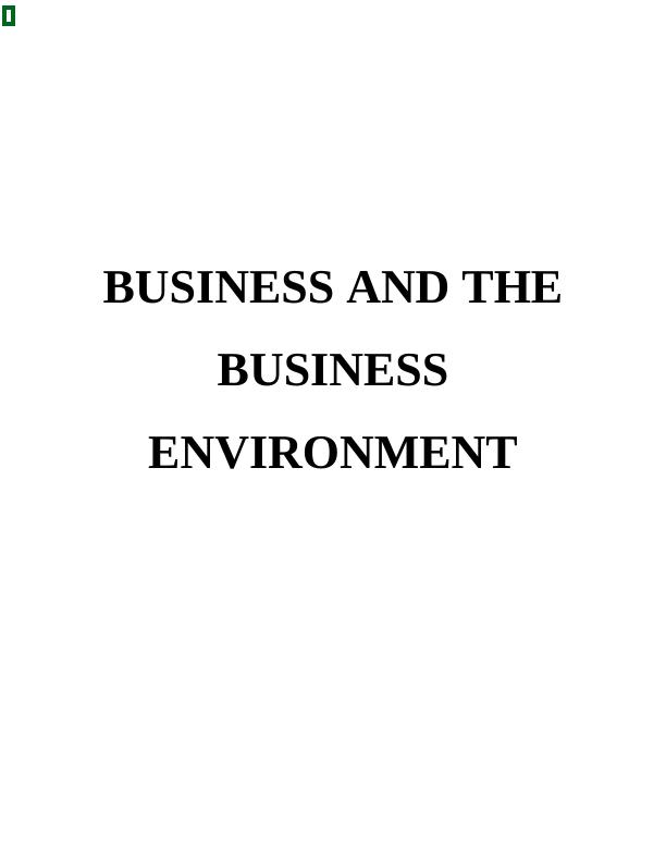 Assignment Business & Business Environment_1