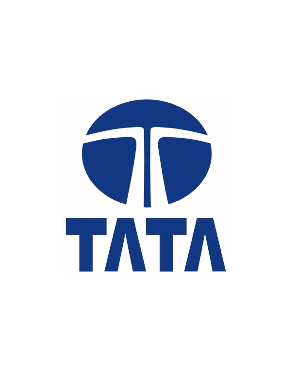 Report: Business of Tata Motors_1