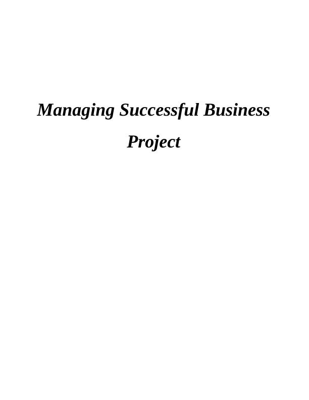 Managing Successful Business Project | A.K. Holdings_1