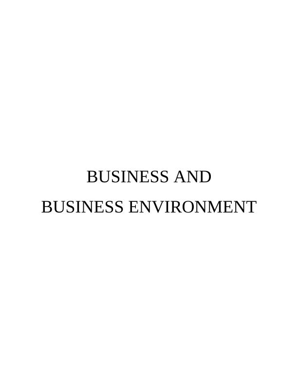 Business and Business Environment BHS Essay_1